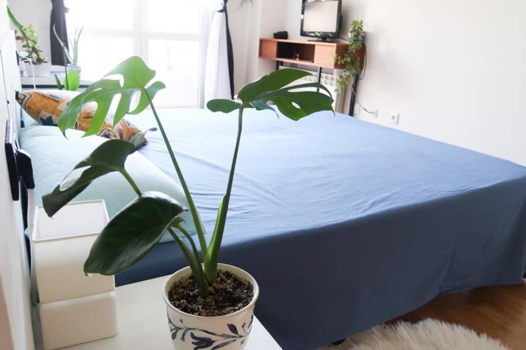 Appartement Housingleon- Casa Oliva Con Garaje *